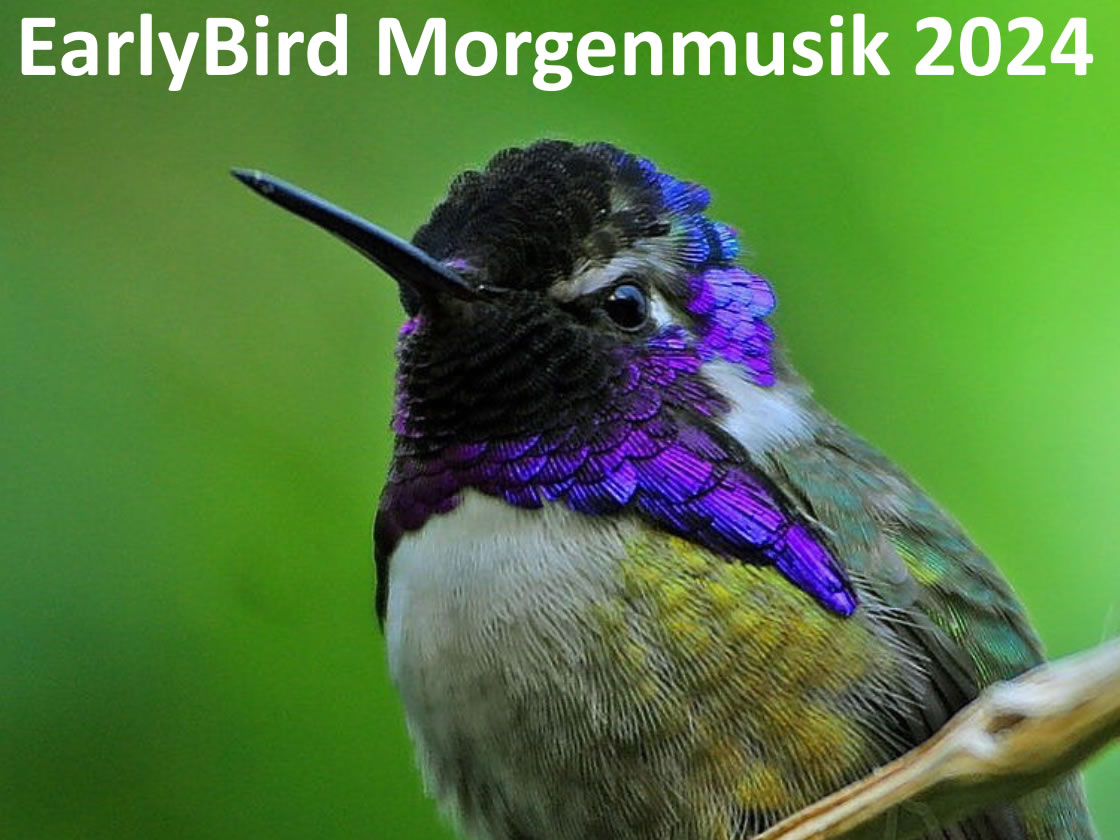 Earlybird Morgenmusik 2024
